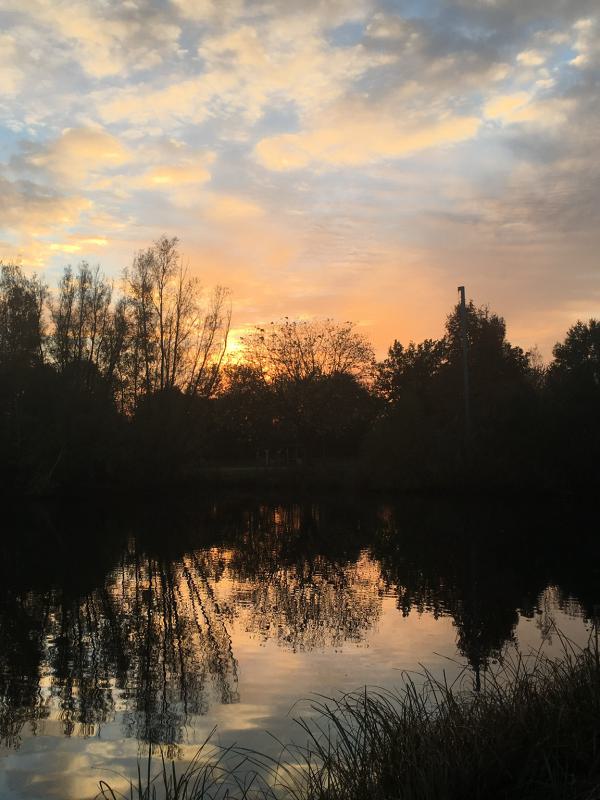 Nachtangeln am Görsee